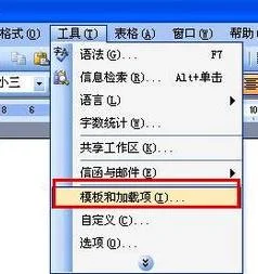 使用在wps中打来的spss | 在word中