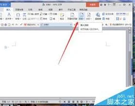 在WPS中添加不同的页码 | WPS插入