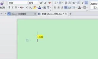 wps中选中相同格式的字 | WPS文字