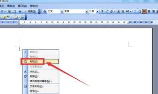 wps复制才等原来的格式大小 | WPS