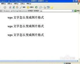 wps保存文档成为格式 | WPS文字将