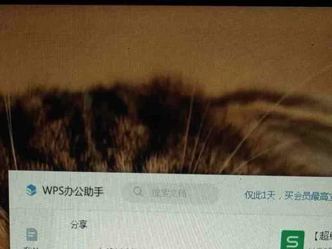 如何删除wps的分享记录