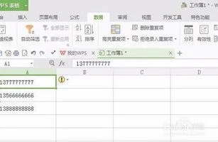 wps快速转为数字格式 | 把WPS表格
