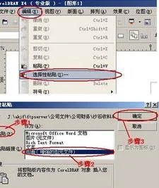 把wps表格置入cdr | 把wps里做到表格复制到cdr里