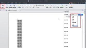 查找wps表格审阅翻译功能在哪 | wp