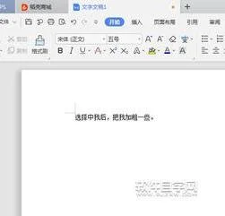 加粗字体用WPS | WPS调节字体的粗细