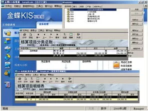 金蝶核算项目启用后能删除 | 金蝶k