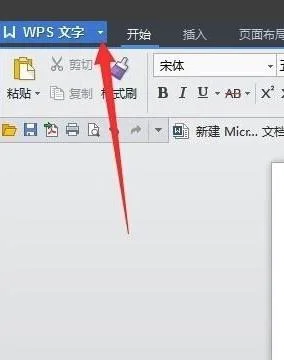 手机wps改变字体方向 | 用手机版WP