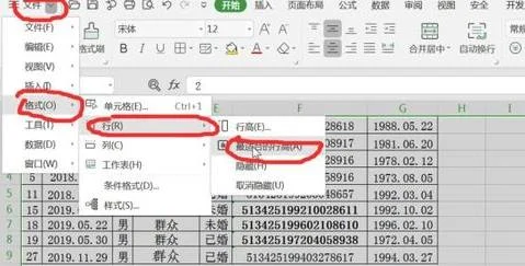 wps表格截图适应大小 | wps使表格