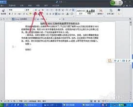 wps调整文档内所有数字字体大小 | 
