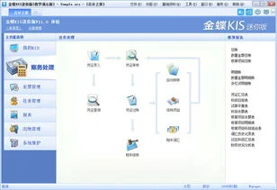 金蝶kis迷你版账导出 | 想问一下