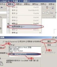 如何把wps表格置入cdr
