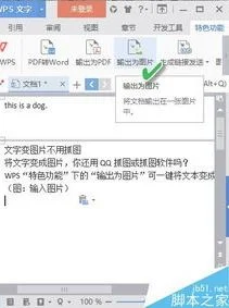 用wps排版功能 | wps排版设置