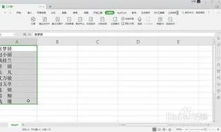 名字及成绩分离WPS | WPS文字拆分