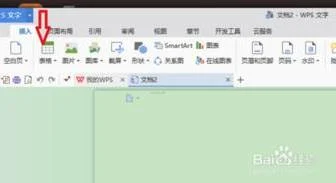 wps文字表格里纵向求和 | 在wps中