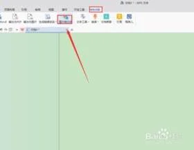如何在WPS里导成文字