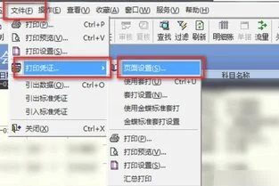 记账,凭证,金蝶,设置