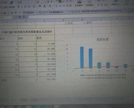 使用wps制作直方图 | 在wps表格里
