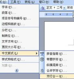 wps中不同字数双行合一 | 用WPS文