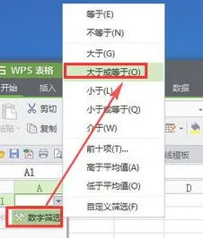 wps筛选某一数值的数据 | WPS中筛