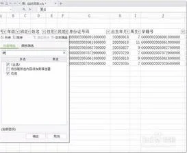wps中内容筛选 | wps表格筛选出想