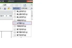 wps表格上下左右居中对齐 | WPS让