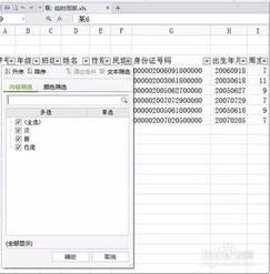 wps筛选多项内容 | 用wps筛选多个