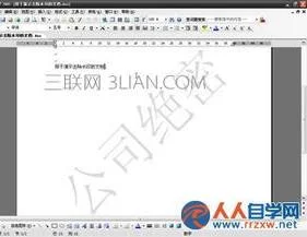WPS文字选中水印 | wps文字水印在