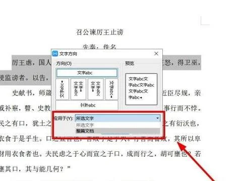 将WPS中的文字变得非常大 | 在WPS