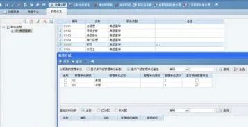 金蝶eas辅助明细账怎么设置