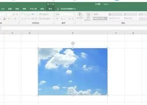 wps所有单元格大小相同 | wps制表