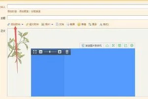照片粘贴到WPS中 | 手机照片粘贴到