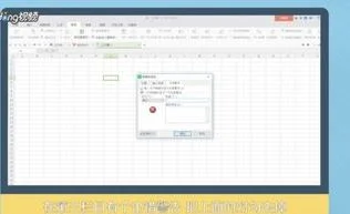 wps表格显示限制条件 | WPS表格中