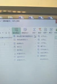 wps使用多个条件 | 表格wps筛选多个符合条件的出来