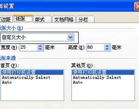 wps设置自定义kg格式 | WPS自定义