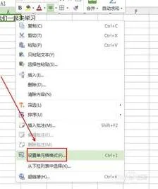 WPS单元格中竖的打字 | wps表格里面文字方向竖着排列