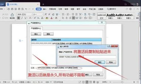 wps2019激活 | 2016版本的WPS激活,求指点