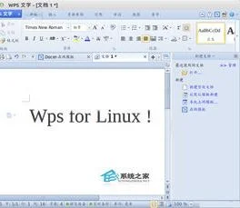 安装ubuntu装上wps | 在linux系统上安装WPS