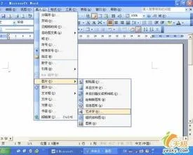 在wps中做斜箭头 | wps里公式编辑器里斜着的箭头弄