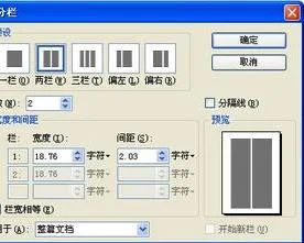 wps页面中设置部分分栏 | WPS文档