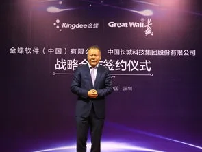 金蝶软件中国总裁孙雁飞