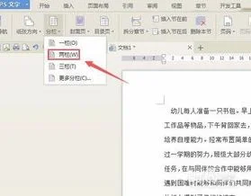 wps文字中设置两页 | 让WPS文字并