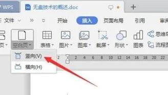 wps在后面添加空白页 | WPS文档页面中添加空白页