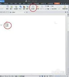 wps表格中在方框内打钩 | WPS表格