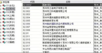 什么意思,公式,金蝶,代码