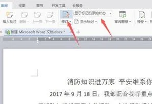如何使用wps中的审阅功能