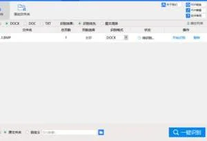 wps中如何将转成文字格式