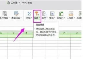 wps筛查某一龄段 | WPS表格出生日期年龄段筛选方法