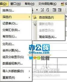 wps在田字格中加字 | wps文档田字