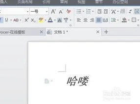 wps文字快速加粗文字 | WPS调节字